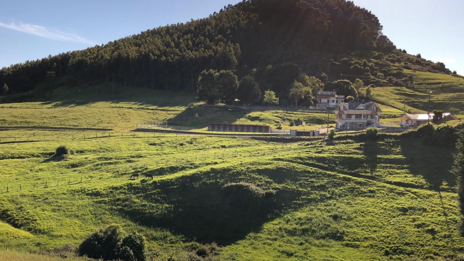 Posada Condado De La Mota 모그로 외부 사진